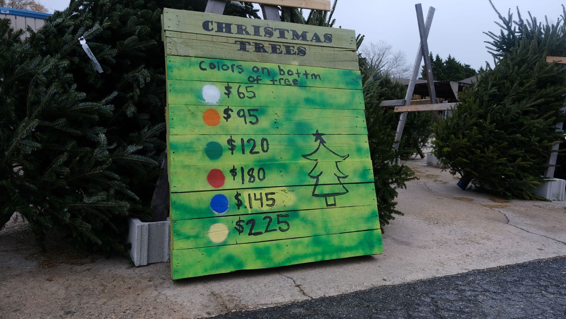 Christmas tree prices
